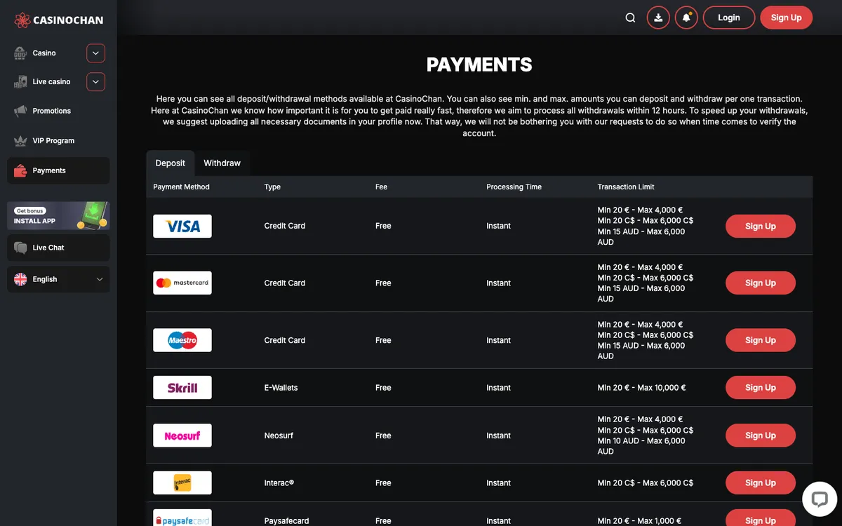 CasinoChan — Payments, captured from Czechia