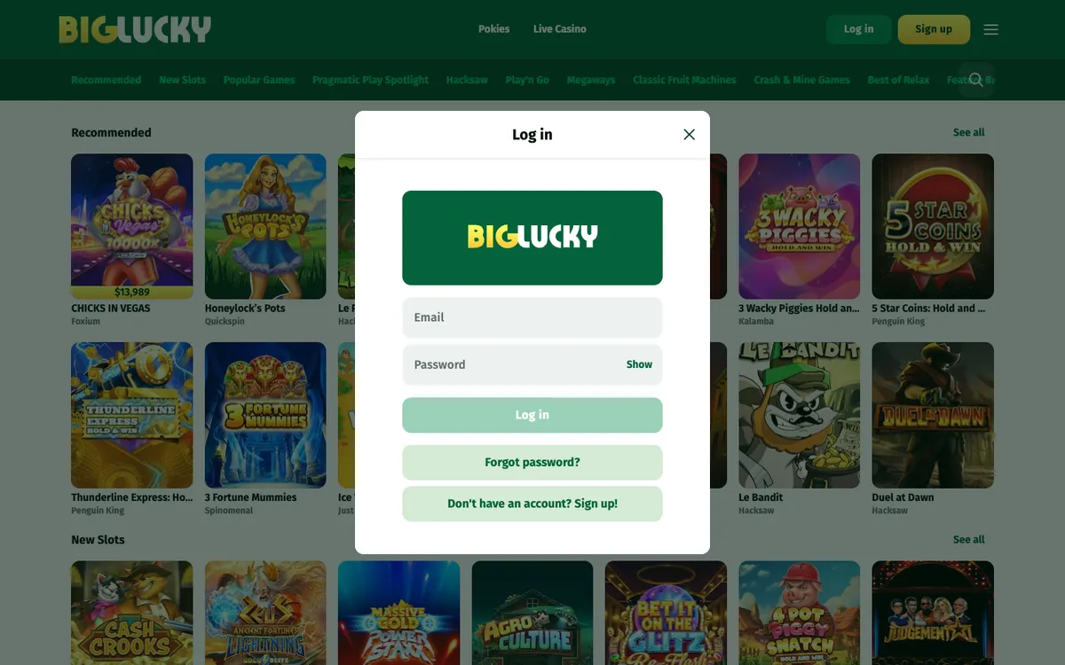 Big Lucky Casino — Payments, captured from New Zealand