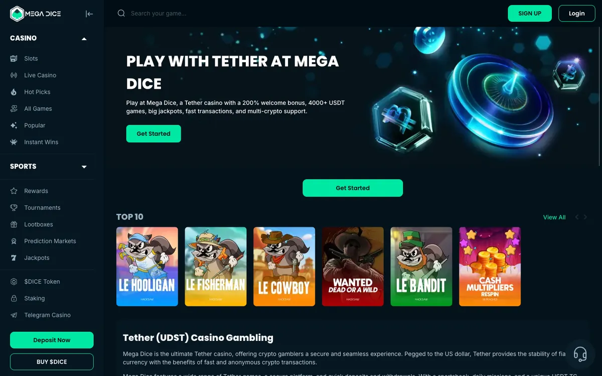 Mega Dice Casino — Payments, captured from Belgium