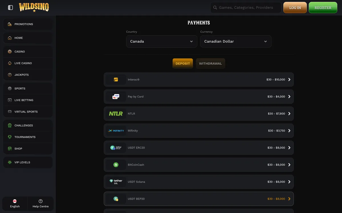 Wildsino Casino — Payments, captured from Canada