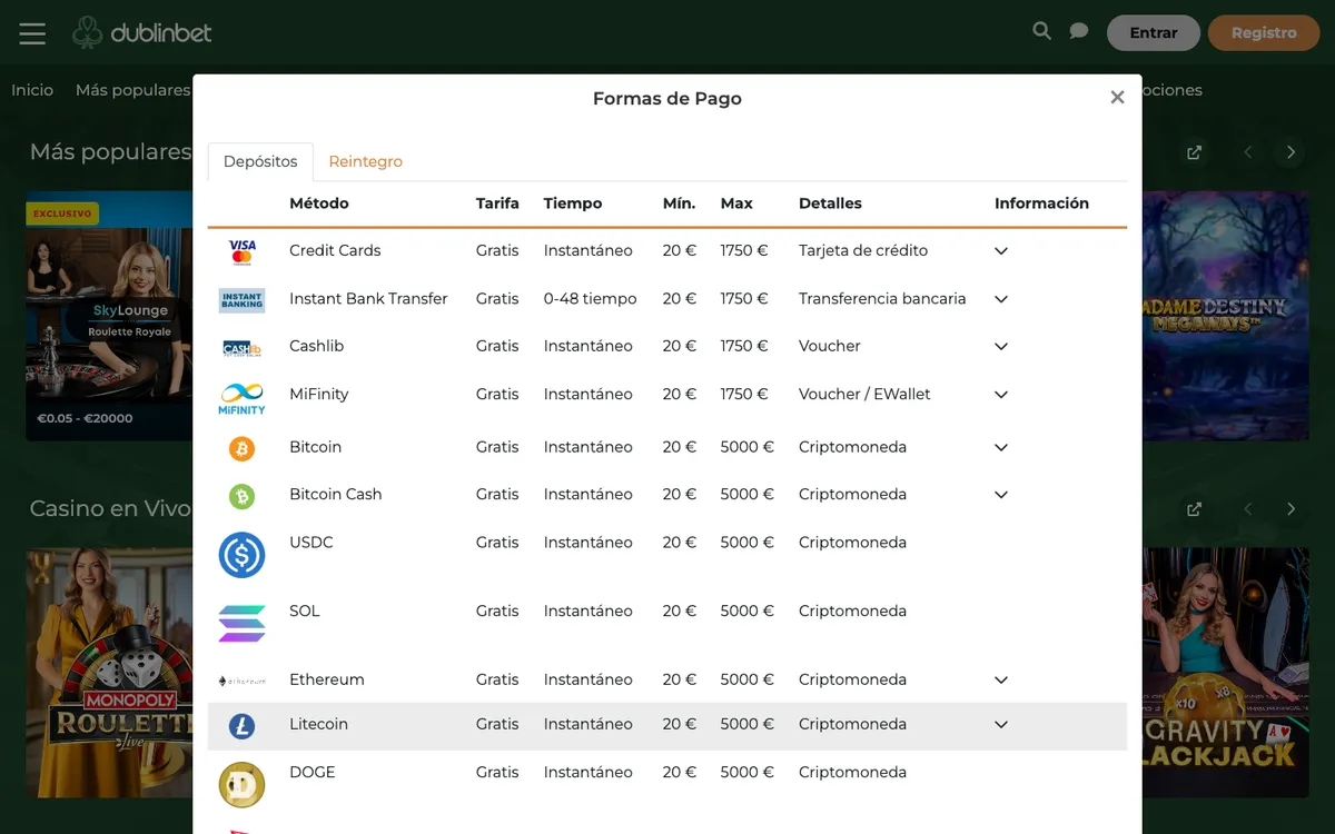 Dublinbet Casino — Payments, captured from Spain