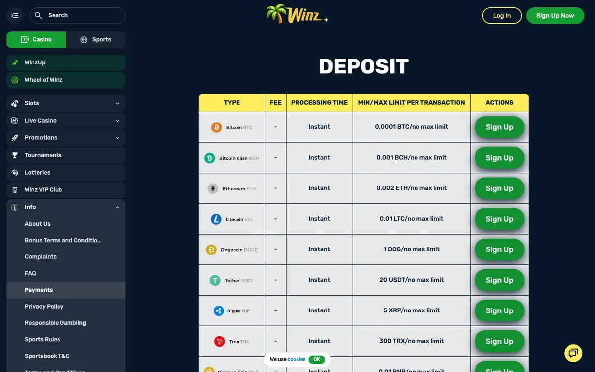 Winz.io Casino — Payments, captured from Austria