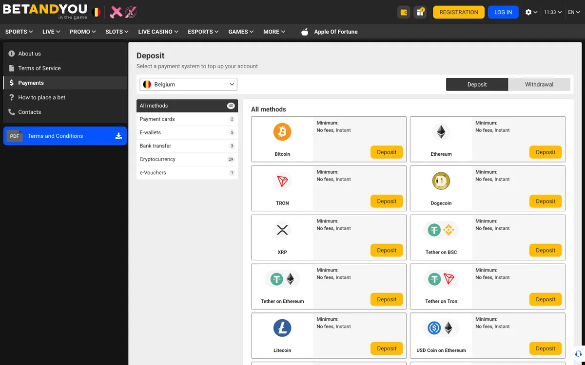 Betandyou Casino — Payments, captured from Belgium