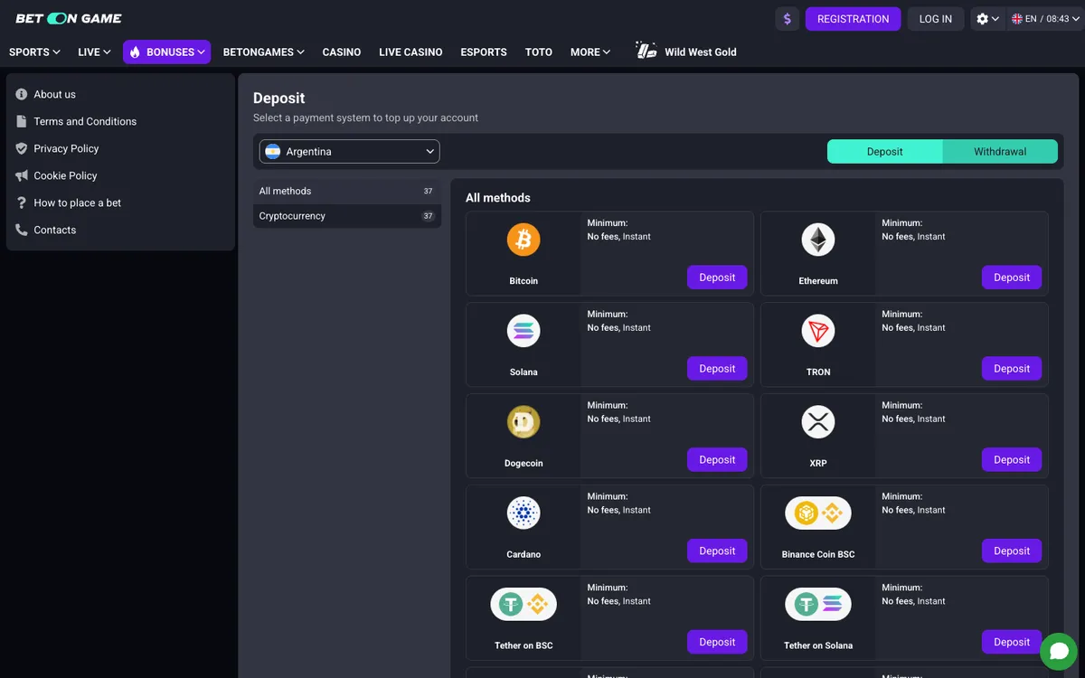 BetOnGame Casino — Payments, captured from Argentina