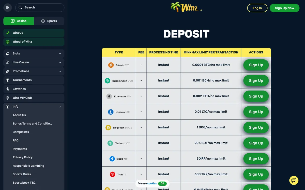 Winz.io Casino — Payments, captured from Switzerland