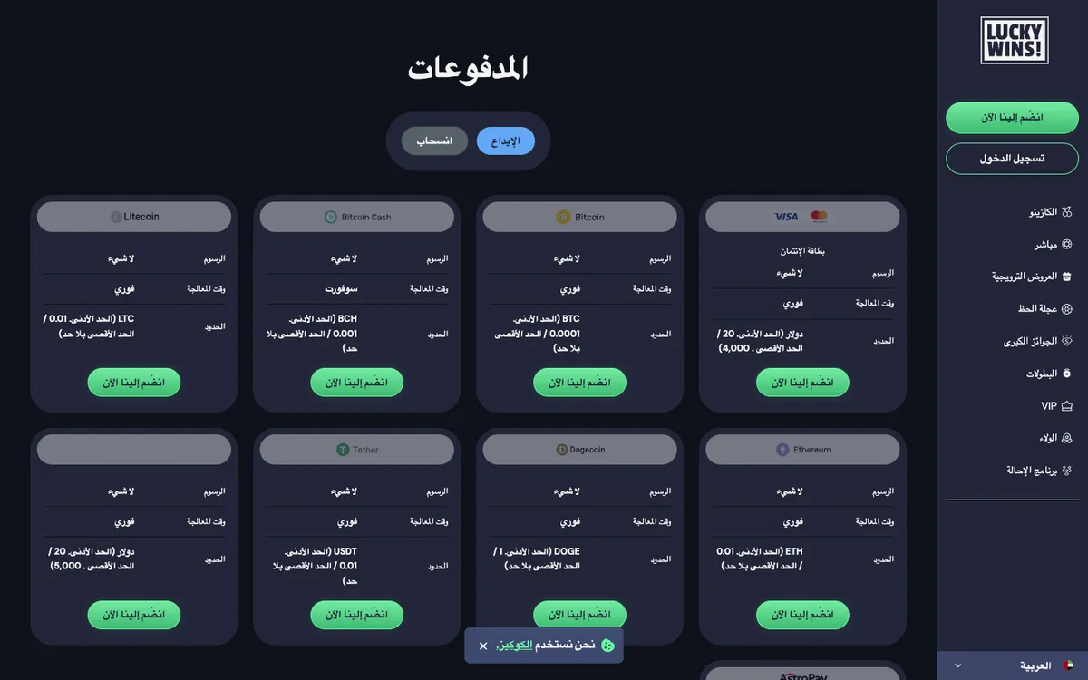 LuckyWins Casino — Payments, captured from United Arab Emirates