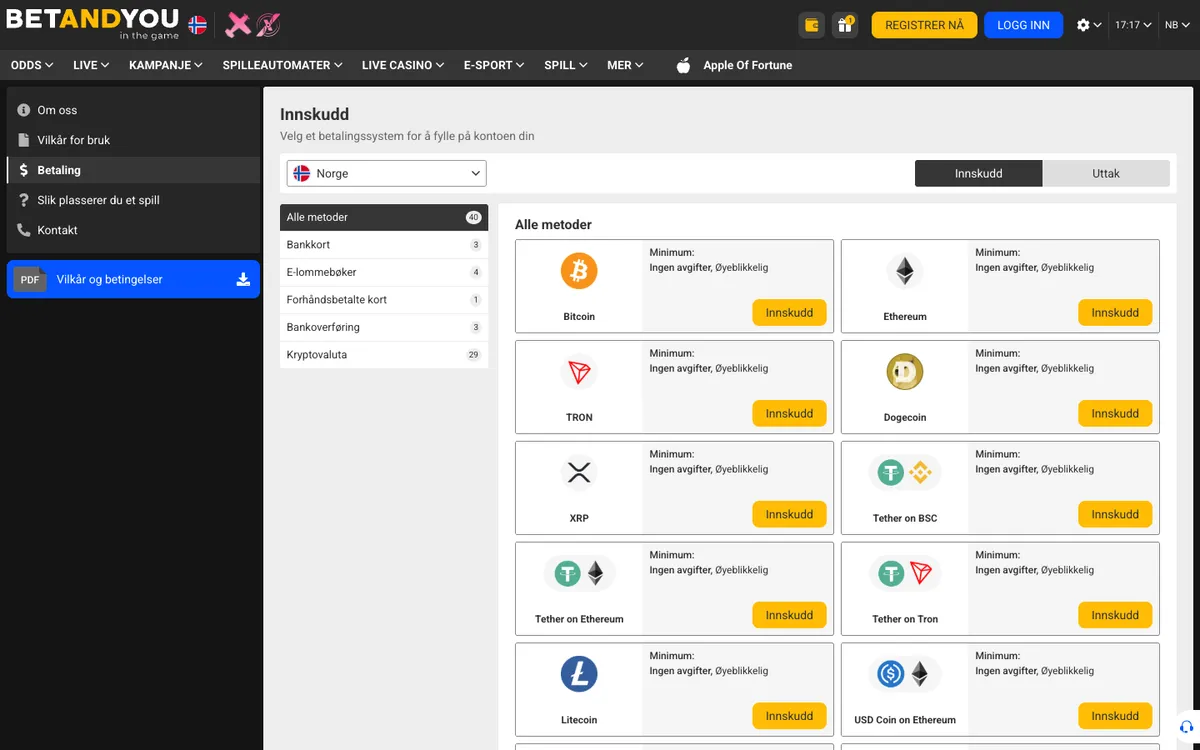 Betandyou Casino — Payments, captured from Norway