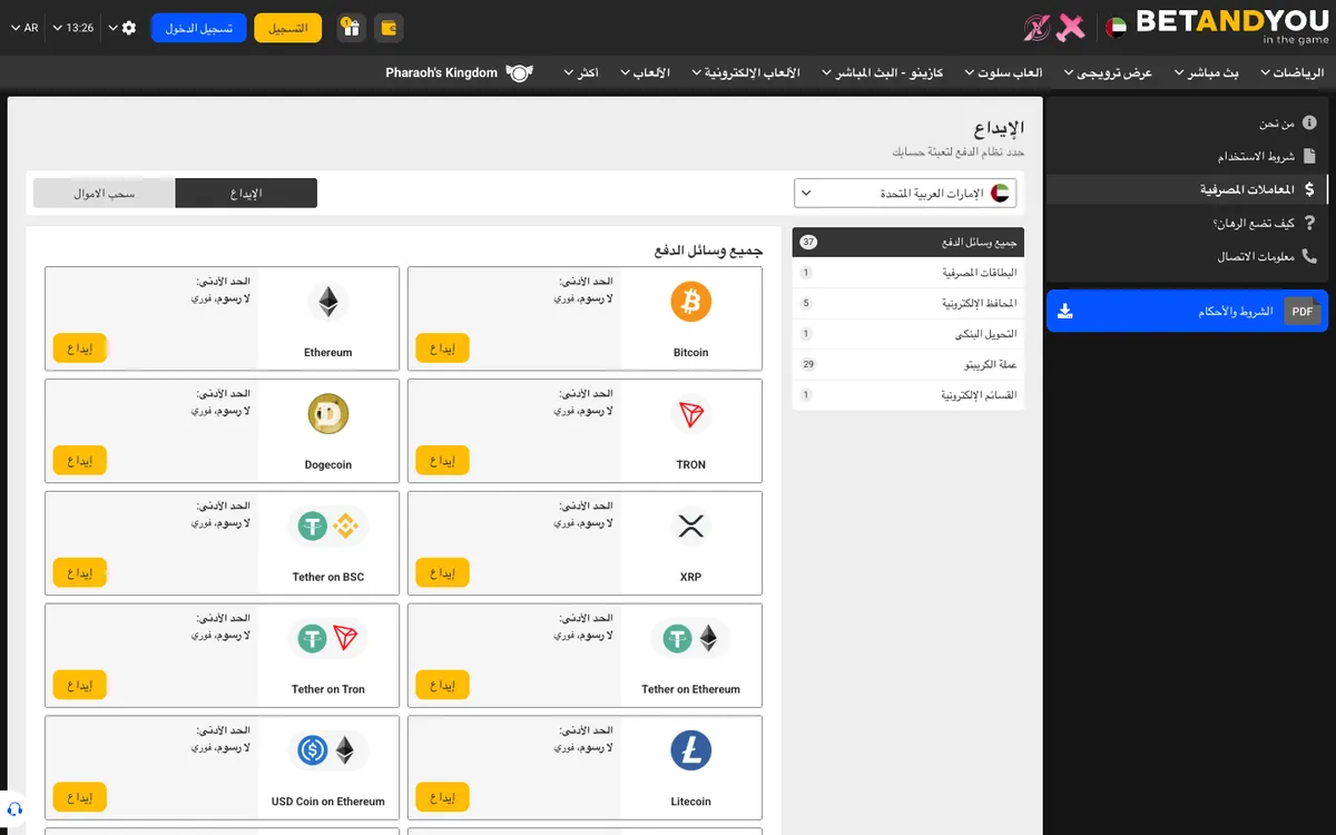 Betandyou Casino — Payments, captured from United Arab Emirates