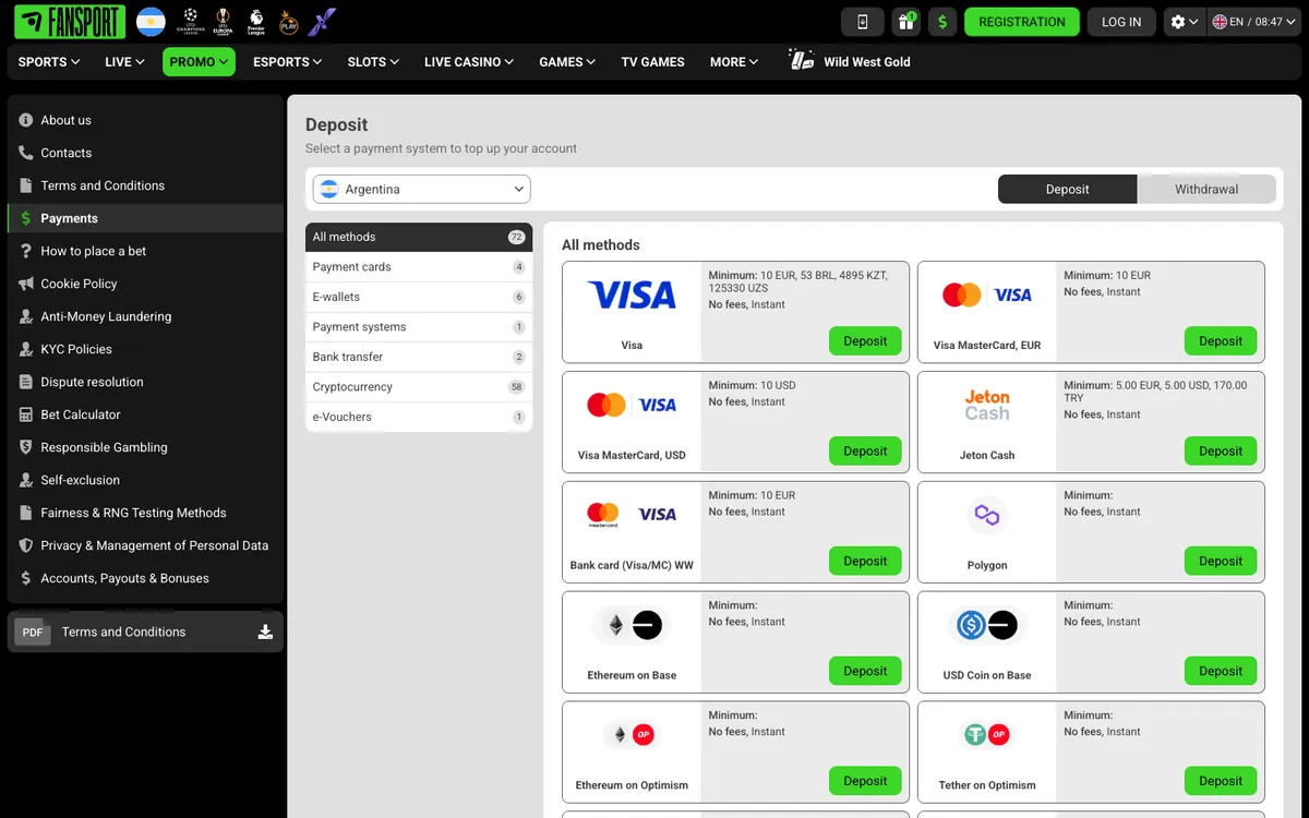 Fansport Casino — Payments, captured from Argentina