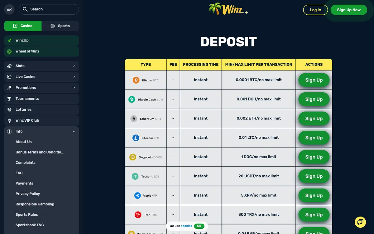 Winz.io Casino — Payments, captured from South Africa