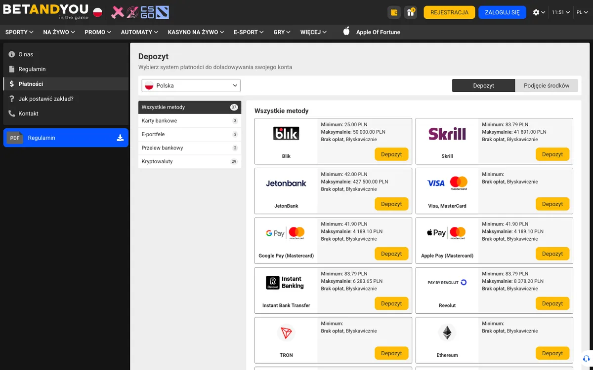 Betandyou Casino — Payments, captured from Poland