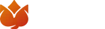 Playbro